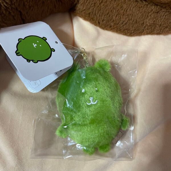 お顔厳選 ナガノキャラクターズ カラーなナガノのくま マスコット 抹茶