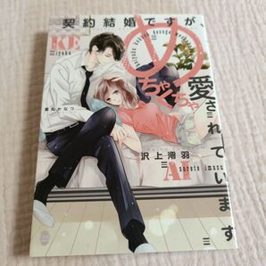 契約結婚ですが、めちゃくちゃ愛されています