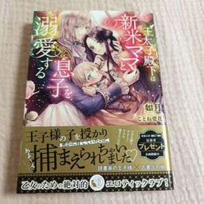 王太子殿下は新米ママと息子を溺愛する