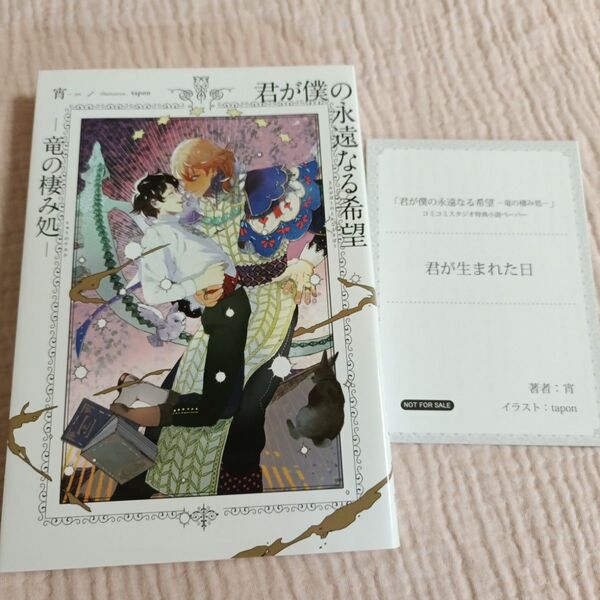 君が僕の永遠なる希望竜の棲み処