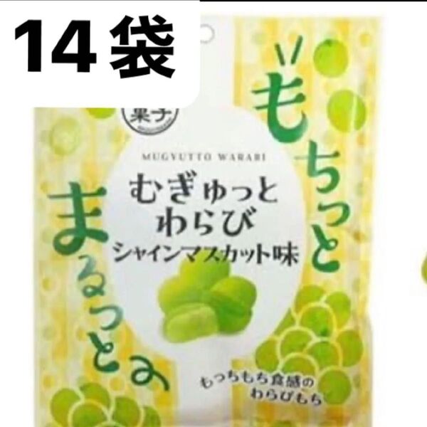 ノースカラーズ むぎゅっと わらび シャインマスカット味 37g 14袋