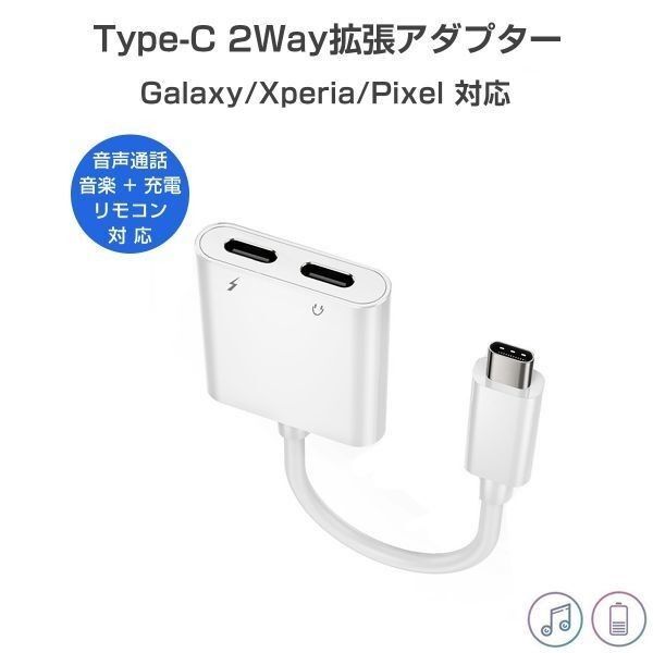 Type C 拡張アダプター 2in1 音楽 充電 同時「C-CC.D」