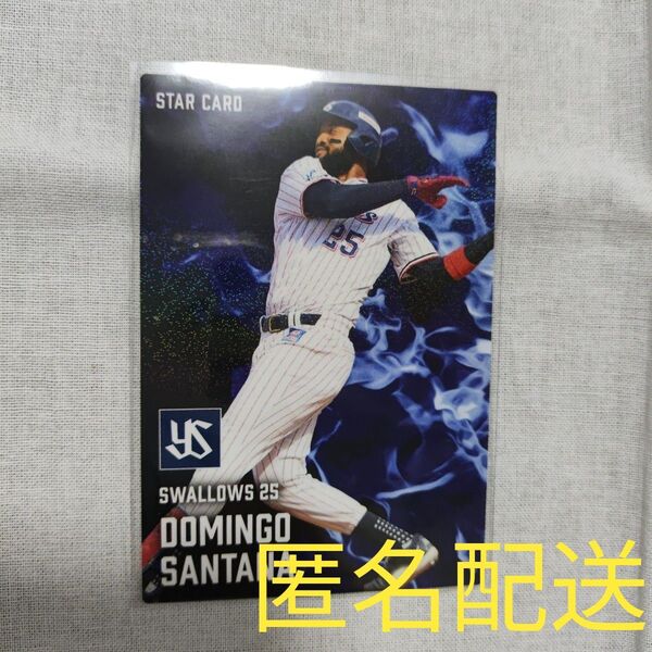 カルビー プロ野球チップス2025第1弾(D・サンタナ 東京ヤクルトスワローズ)