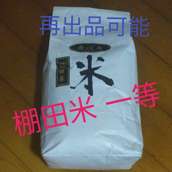 魚沼こしひかり精米 5キロ