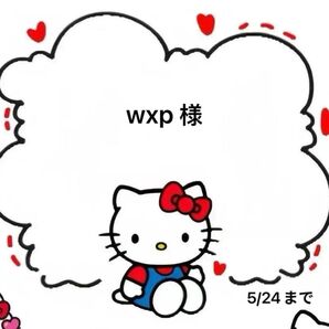 wxp様専用ページ