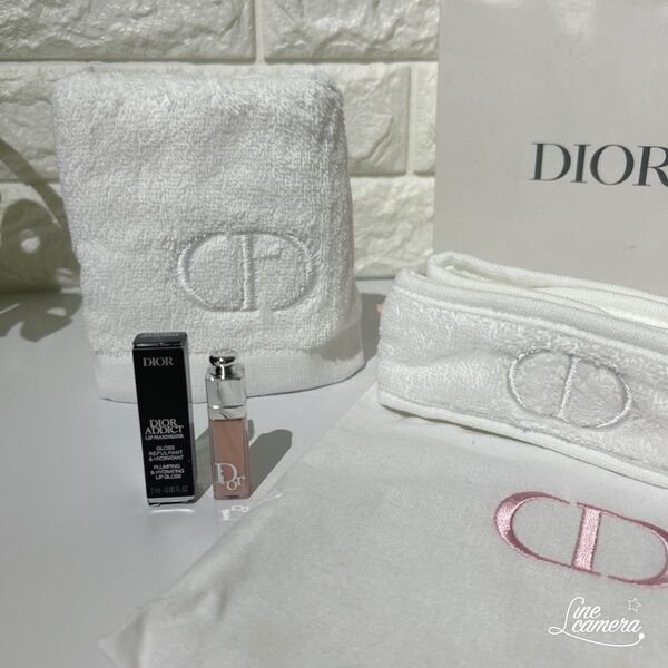 新品 Dior ディオール アディクト リップ マキシマイザー 001 タオル