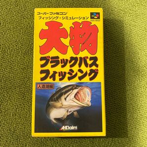 【SFC】 大物ブラックバスフィッシング 人造湖編