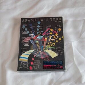 嵐 ARASHI 10-11 TOUR "Scene"~君と僕の見ている風景~ STADIUM