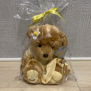 専用 中古 ぬいぐるみ 森伊蔵 箱 空き瓶