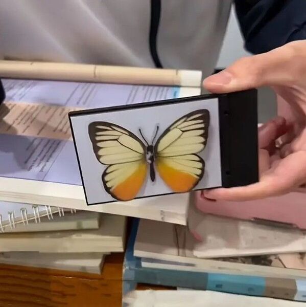 イリュージョン!絵に描いた物が出現!フリップボードマジック手品トリック