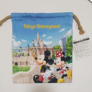 巾着 巾着袋 小物入れ ディズニー ミッキーマウス