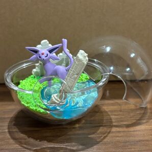 ポケモン テラリウムコレクション エーフィ ポケットモンスター