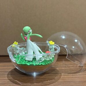 ポケットモンスター テラリウムコレクション サーナイト ポケモン