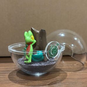 ポケットモンスター テラリウムコレクション キモリ ポケモン