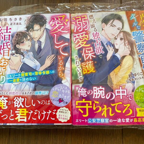 再会したクールな警察官僚に燃え滾る独占欲で溺愛保護されています (ベリーズ文庫 す3-7) 鈴ゆりこ/著