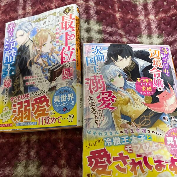 元・最下位の妃、2度目の政略結婚で氷の冷酷王に嫁ぎます 「愛は望むな」…(ベリーズ文庫 Iみ2-7) 三沢ケイ/著