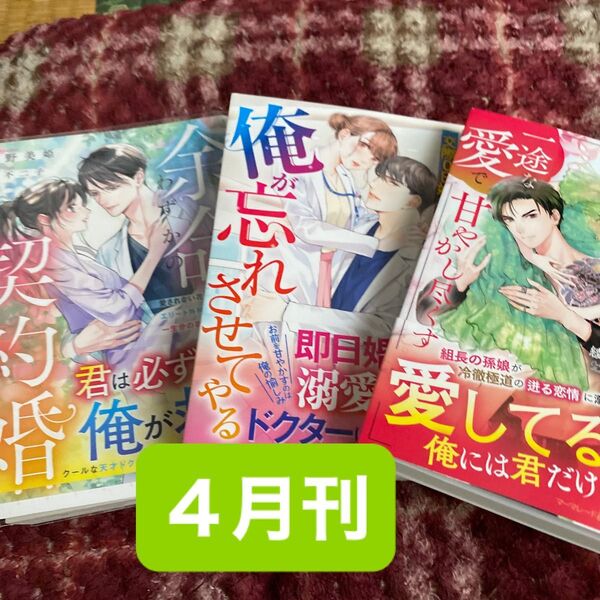 余命わずかの契約婚 愛されない花嫁のはずが、エリート外科医に…(マーマレード文庫 カ2-12) 河野美姫/著