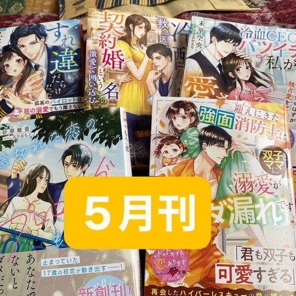 ☆5月刊☆途切れた恋のプロローグをもう一度 (ベリーズ文庫 Wす1-1 with) 砂原雑音/著