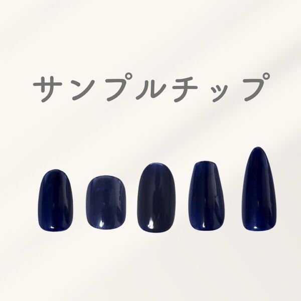 サンプルチップ