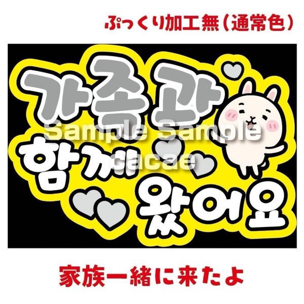 【即購入可】ペンサボード ファンサパネル文字 カンペ団扇 規定内サイズ メンカラ コンサート ライブ 家族一緒に来たよ ハングル