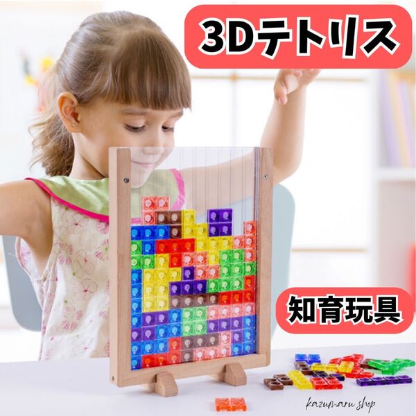【知育&脳トレ】3Dテトリス 積み木パズル モンテッソーリ玩具 新品 知育玩具 教材 ブロック 立体パズル 木製 3Dパズル①