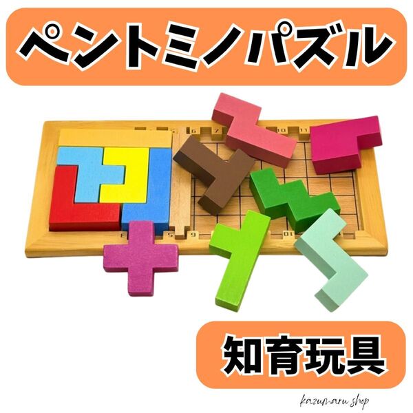 ペントミノパズル 木製 知育玩具 脳トレ テトリス 型はめ モンテッソーリ カタミノ パズル ブロック 積み木 新品 マス⑧