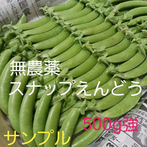 奈良県産 新鮮【スナップエンドウ】 正味 500g以上