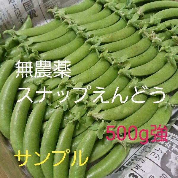 奈良県産 新鮮【スナップエンドウ】 正味 500g以上