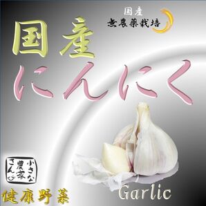 国産 生にんにく
