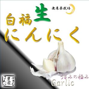 生ニンニク