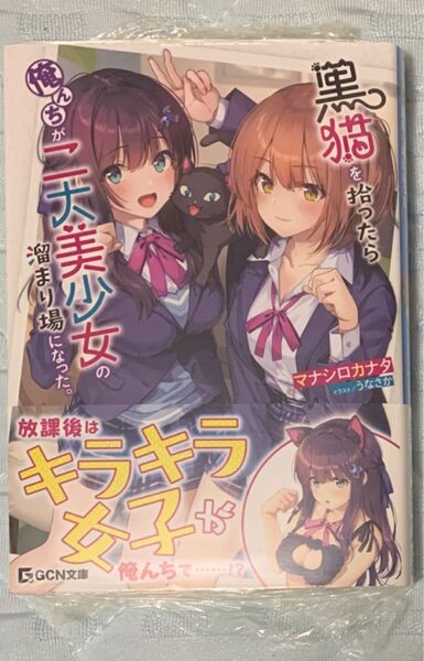 【新品・未開封】黒猫を拾ったら俺んちが二大美少女の溜まり場になった。 うなさか ゲーマーズ アニメイト ライトノベル ラノベ 小説