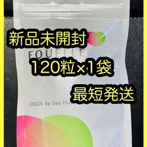 【新品未開封】エクエルパウチ 120粒 1袋セット(エクエル パウチ)