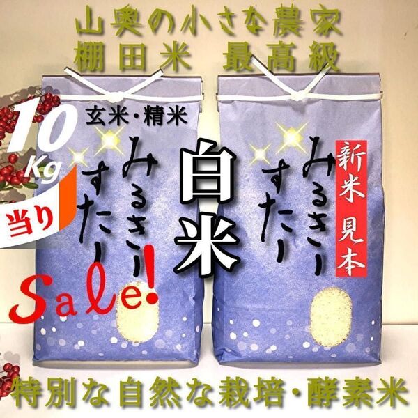 【超希少】ミルキースター 酵素米/玄米10kg「標準白米に精米」 (コシヒカリ つや姫 ミルキークィーン)