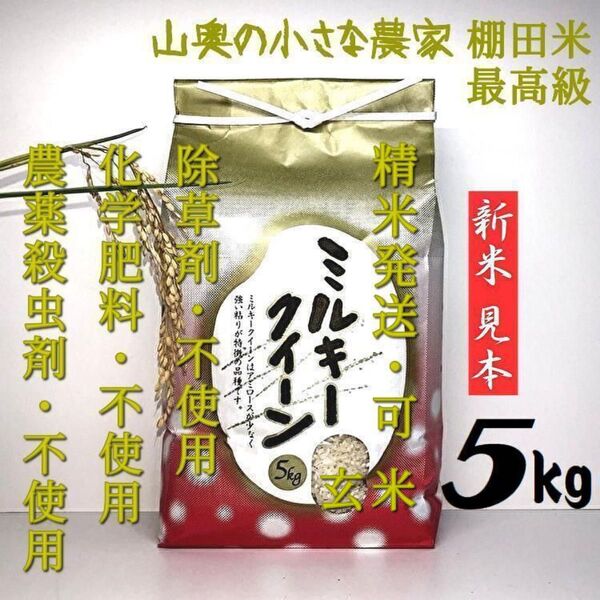 ミルキークイーン 自然栽培 農薬 栽培期間中不使用 玄米5kg「精米し発送」 (ミルキークィーン コシヒカリ つや姫)