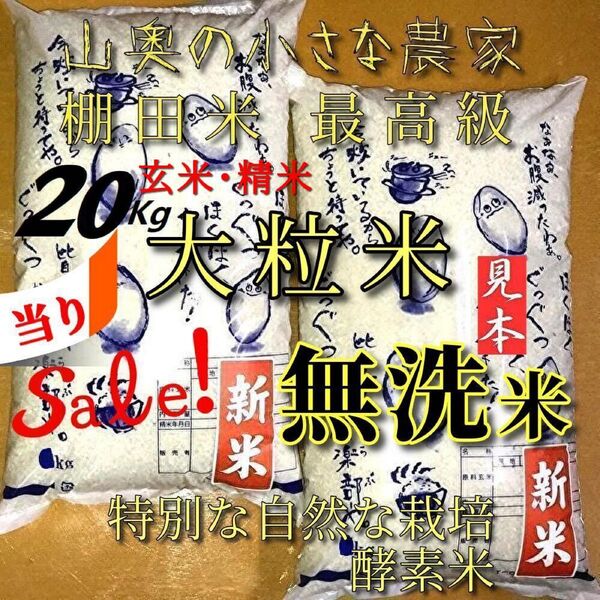 棚田米のハイブリッド 大粒ダイヤ/酵素米 玄米20Kg「無洗米に精米」 (コシヒカリ つや姫 ミルキークィーン ミルキークイーン)