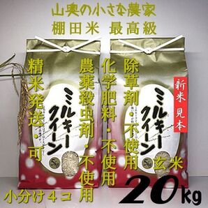 ミルキークイーンが自然栽培/農薬 栽培期間中不使用 玄米20kg「精米し発送」 (ミルキークィーン コシヒカリ つや姫)