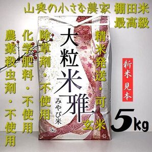 自然栽培 大粒米ダイヤ 農薬 栽培期間中不使用 玄米5kg【精米して発送】 (ミルキークイーン ミルキークィーン つや姫)