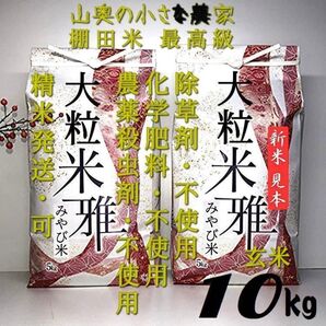 自然栽培の大粒米ダイヤ 農薬 栽培期間中不使用 玄米10kg【精米して発送】 (ミルキークイーン ミルキークィーン つや姫)