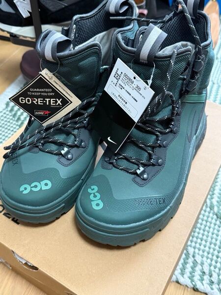 NIKE ACG ZOOM GAIADOME GORE-TEX 26.5cm