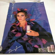 ダイアンレイン 缶チュウハイ サンシャワー 昭和60年 当時物オリジナルポスター 協和発酵_画像8