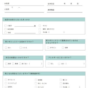 耳つぼカウンセリングシート/同意書/カルテ