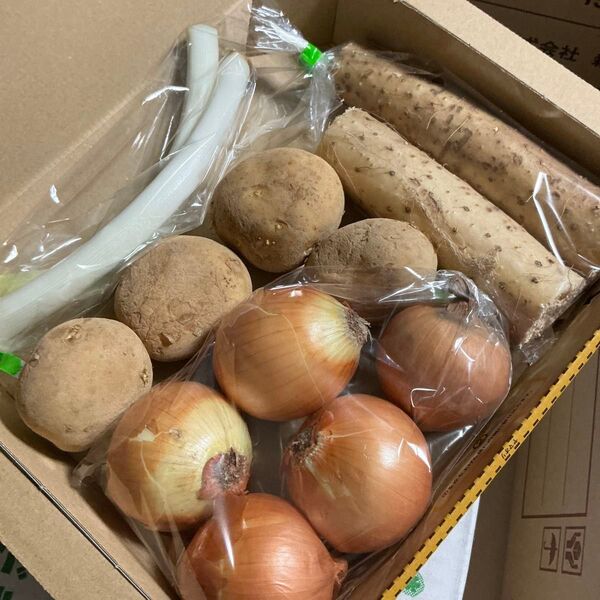 野菜詰め合わせ!じゃがいも玉ねぎ長芋ネギ