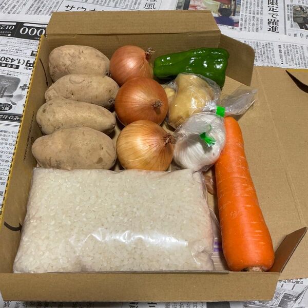 野菜詰め合わせじゃがいも玉ねぎにんじんと米300gひとめぼれ