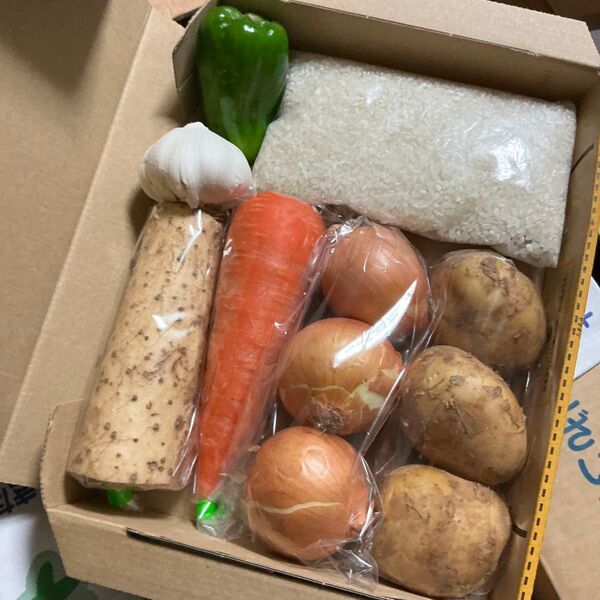 各種お野菜と米300gのスペシャルセット