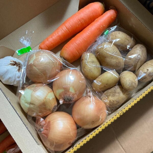 野菜詰め合わせ!新じゃがいも!玉ねぎにんじんニンニク