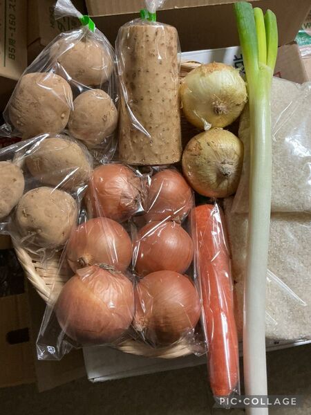 宮城県産ひとめぼれ入り!新じゃが新玉ねぎ80サイズ米野菜セット