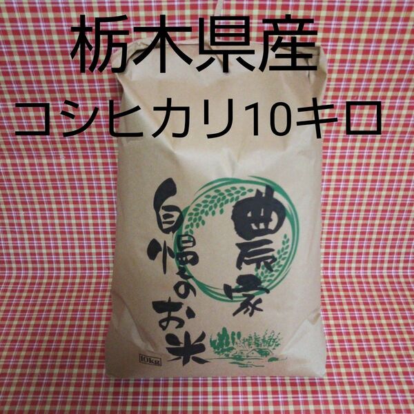 白米10キロ☆令和6年栃木県産コシヒカリ白米10キロ