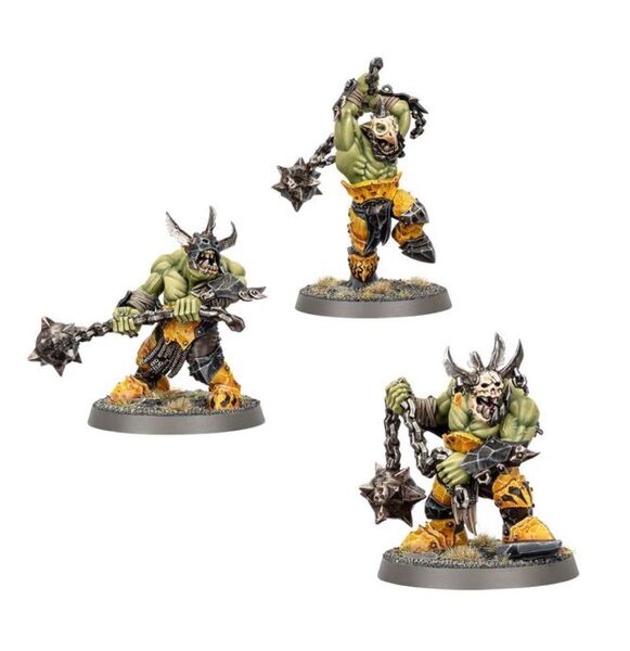 ウォーハンマー Warhammer オールク・ウォークラン ウィアードブルート・レッカ