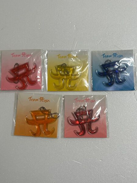 購入は5/31まで可能浜崎あゆみ Team Ayu ぷにぷにキホルダー 5個セット FC限定 非売品