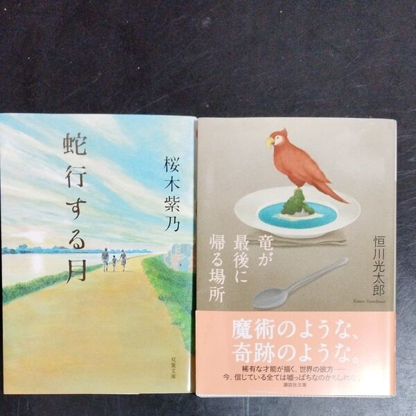 【2冊380円セット】(入れ替え可能) 竜が最後に帰る場所 恒川光太郎 著 蛇行する月 桜木紫乃 著